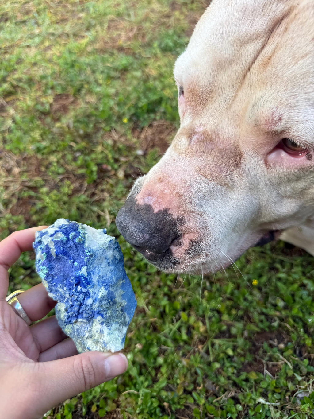 Azurite Quartz