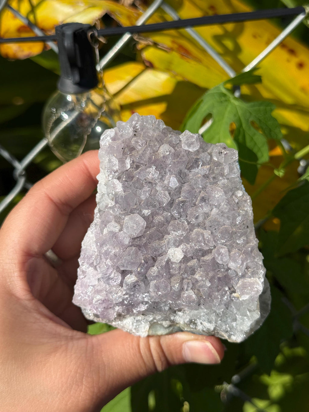 Amethyst Geodes Brazil