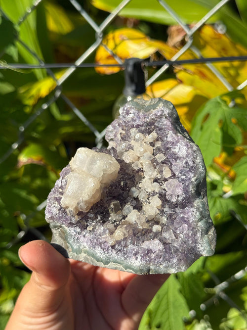 Amethyst Geodes Brazil