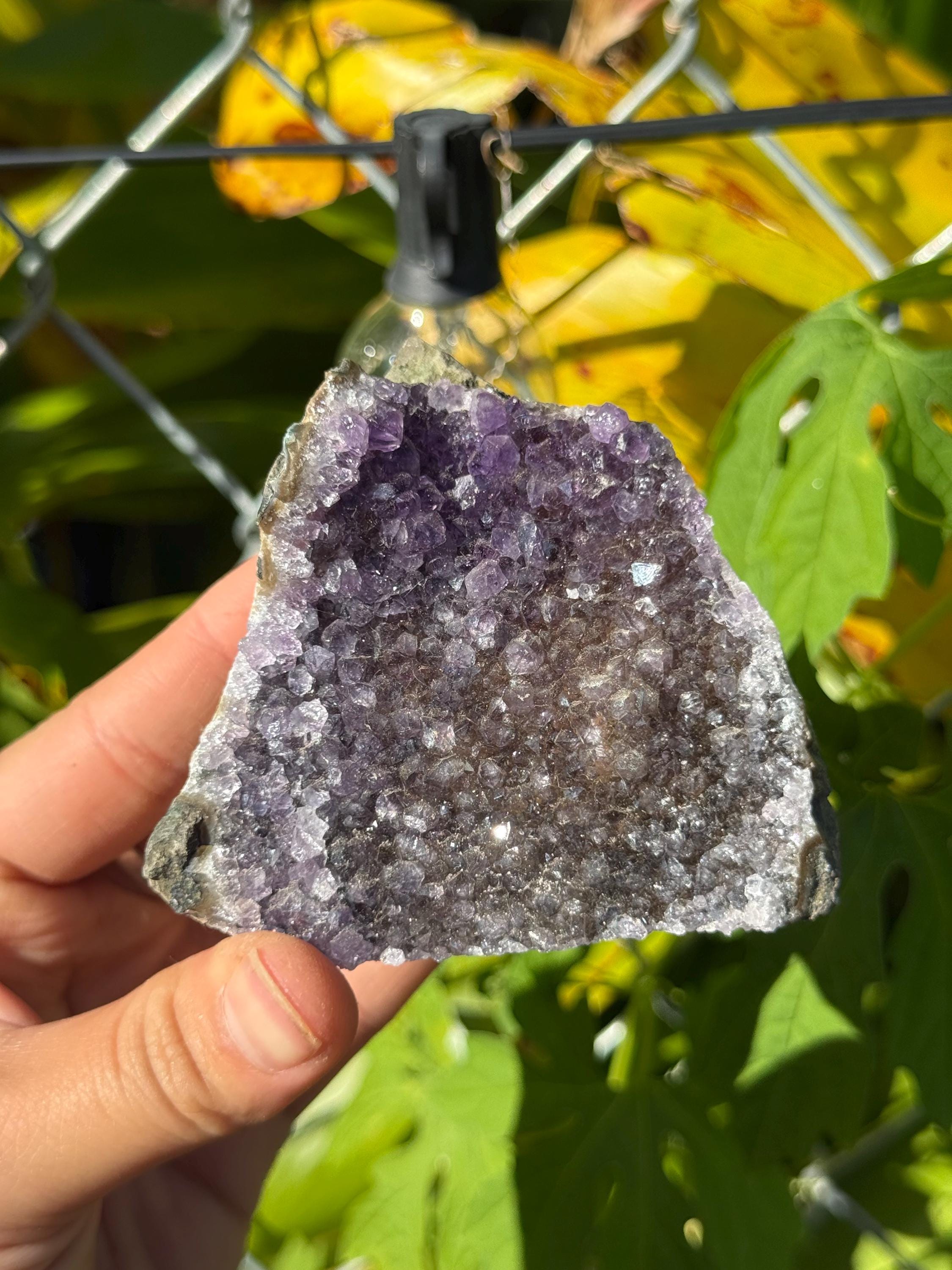 Amethyst Geodes Brazil