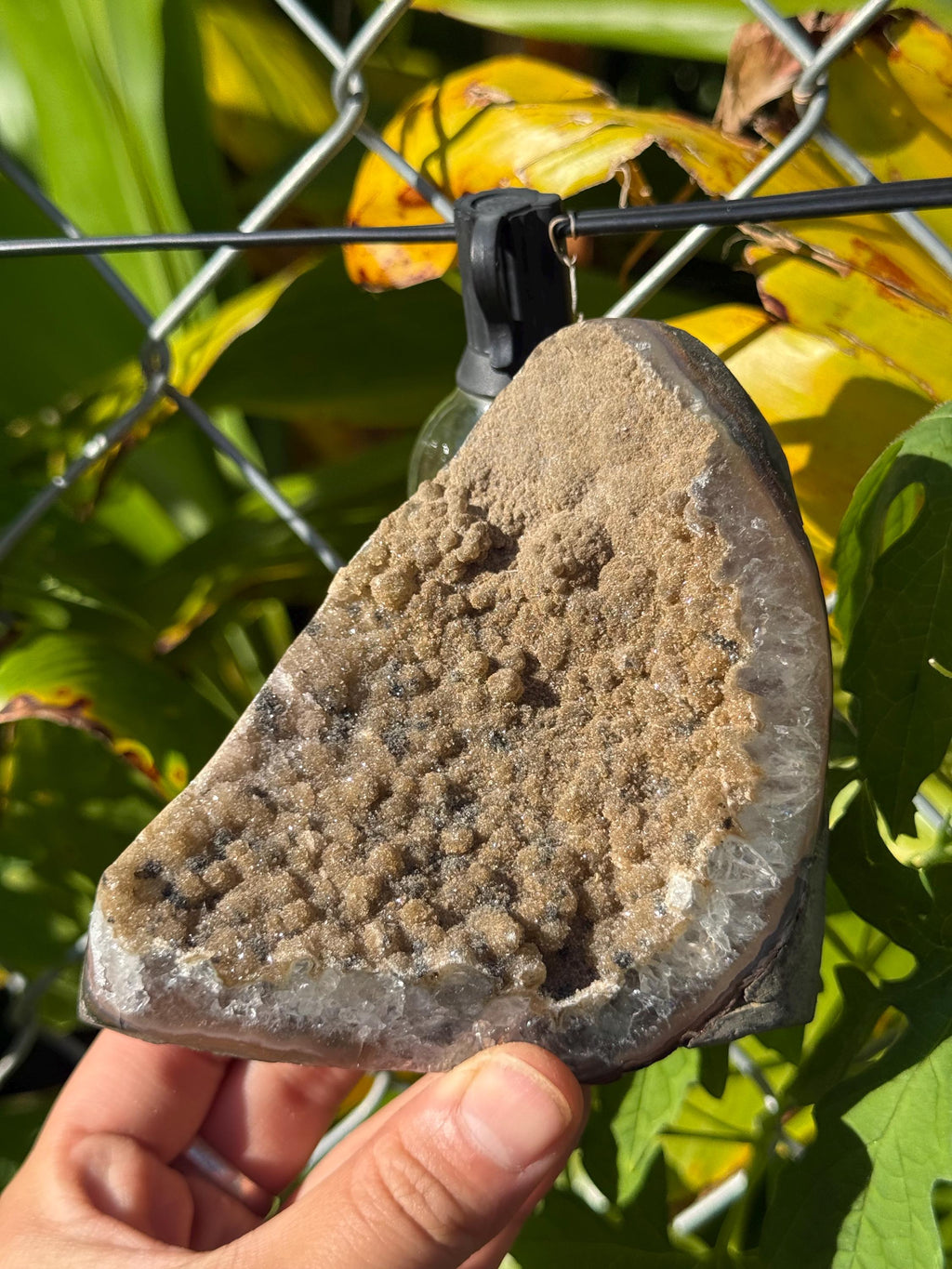 Amethyst Geodes Brazil