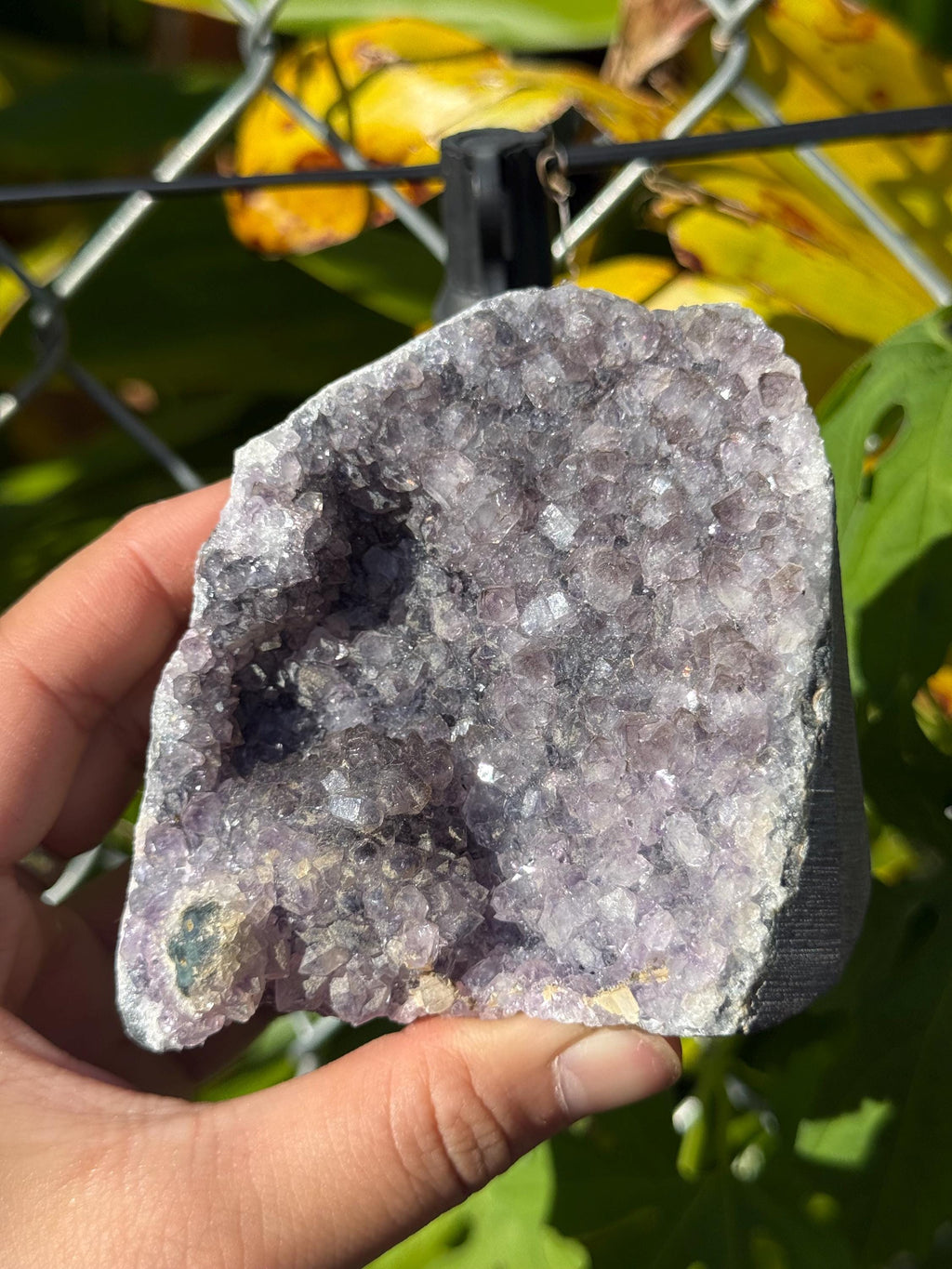 Amethyst Geodes Brazil