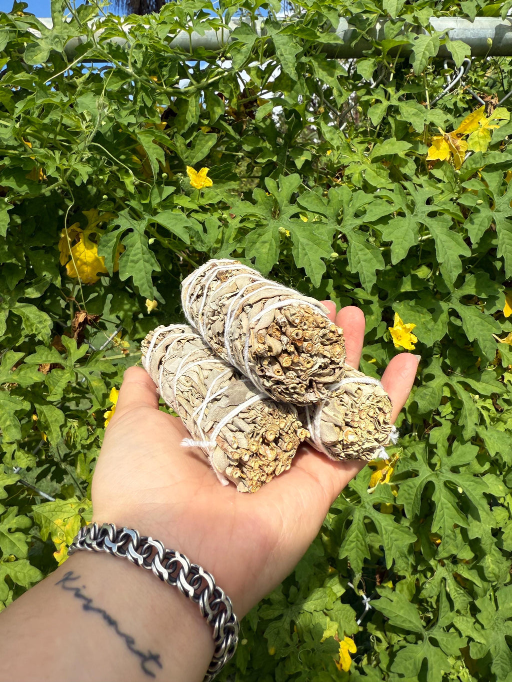 White Sage: Cleansing and Purification