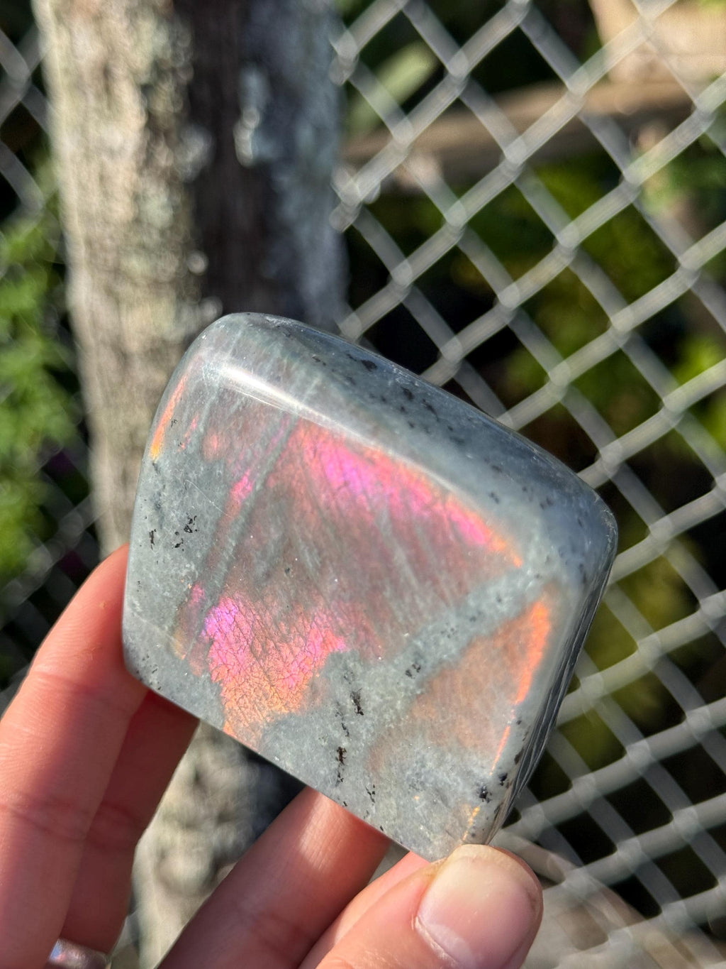 Labradorite Freeform